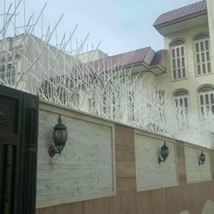 حفاظ شاخ گوزنی دیوار ساختمان در استان خوزستان
