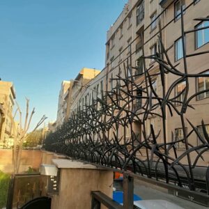 حفاظ شاخ گوزنی دیوار ساختمان در خرم آباد