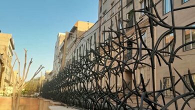 حفاظ شاخ گوزنی دیوار ساختمان در خرم آباد