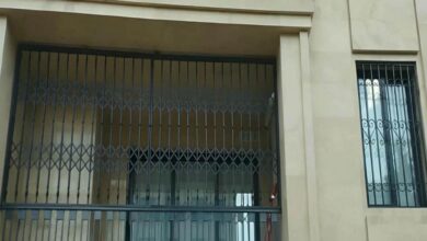 window-guard-iron-fence-wrought-iron-aev