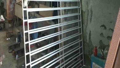 window-guard-iron-fence-wrought-iron-sr