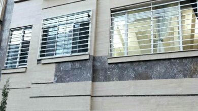 window-guard-iron-fence-wrought-iron-vr