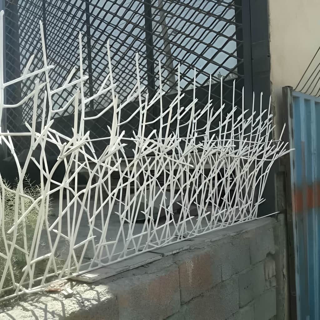 حفاظ شاخ گوزنی با رنگ پوششی یکنواخت