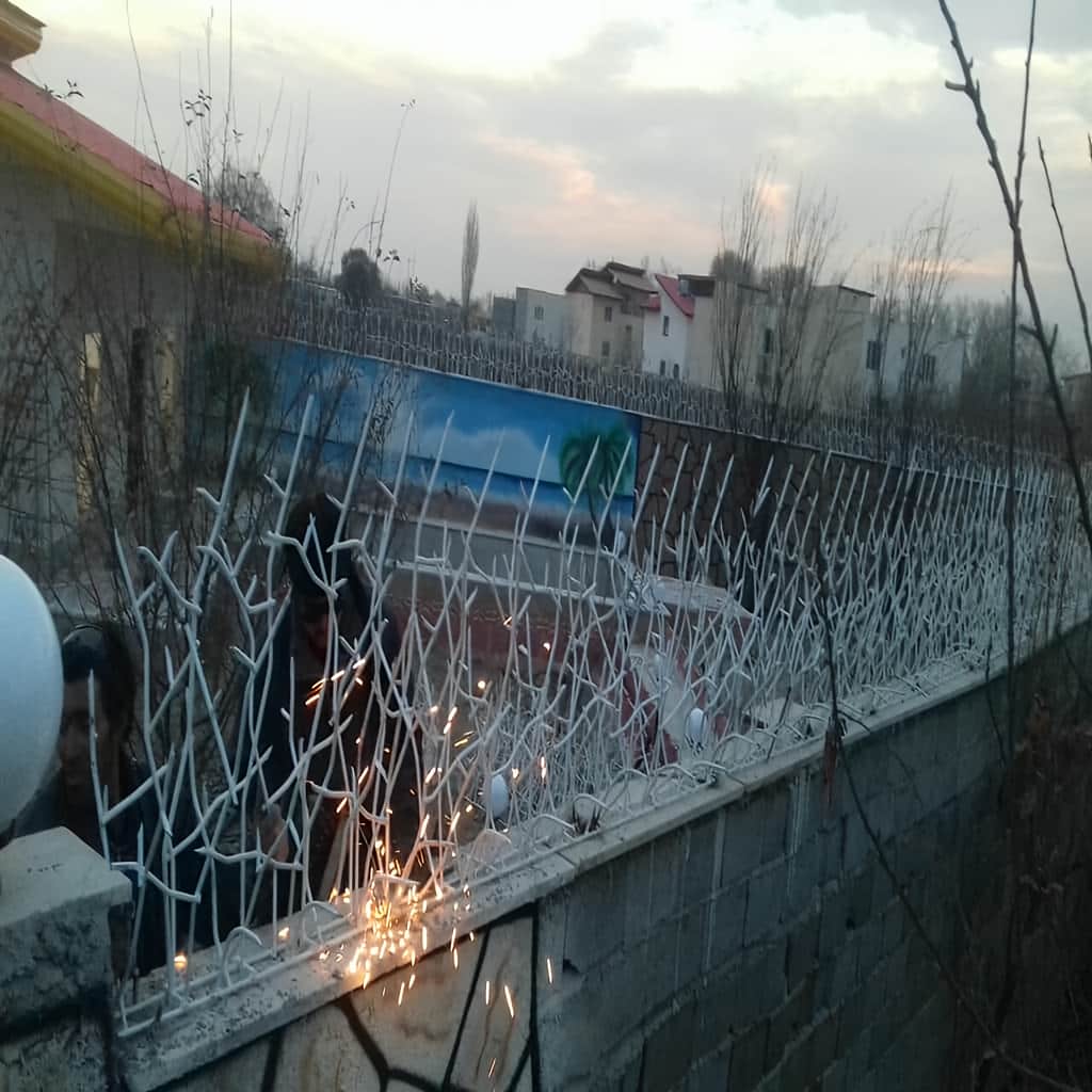 حفاظ شاخ گوزنی خاردار با رنگ پوششی یکنواخت