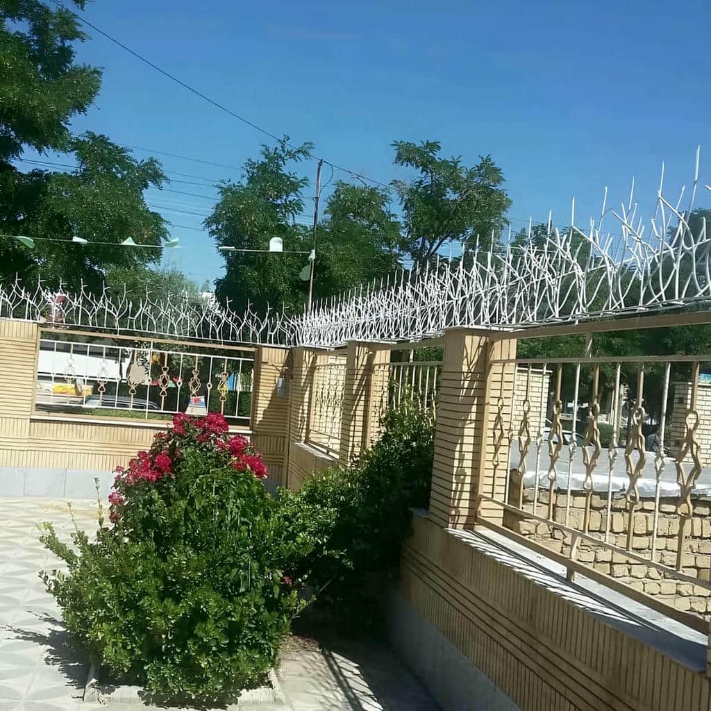 حفاظ شاخ گوزنی خاردار با طراحی شاخه ای متراکم