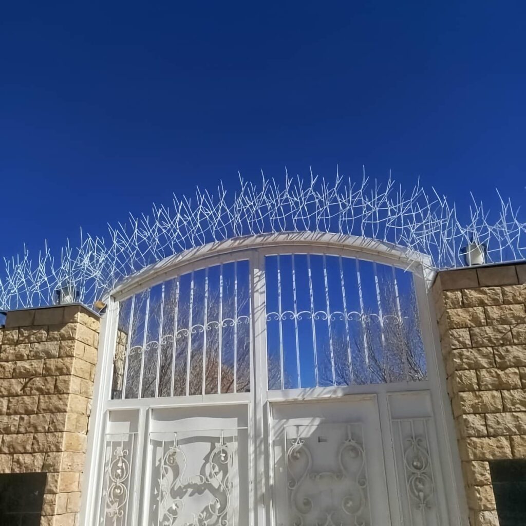 حفاظ شاخ گوزنی با ساختار درهم تنیده