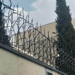 حفاظ شاخ گوزنی خاردار برای امنیت دیوار