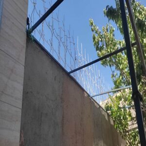 دلایل انتخاب حفاظ شاخ گوزنی برای امنیت دیوار