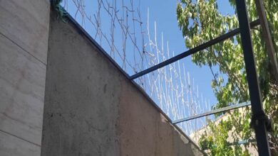 دلایل انتخاب حفاظ شاخ گوزنی برای امنیت دیوار