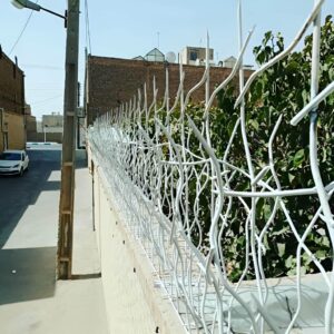 حفاظ شاخ گوزنی دیوار برای امنیت ساختمان ویلا و باغ
