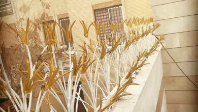 حفاظ لیلیوم فلزی هماهنگ با نمای ساختمان